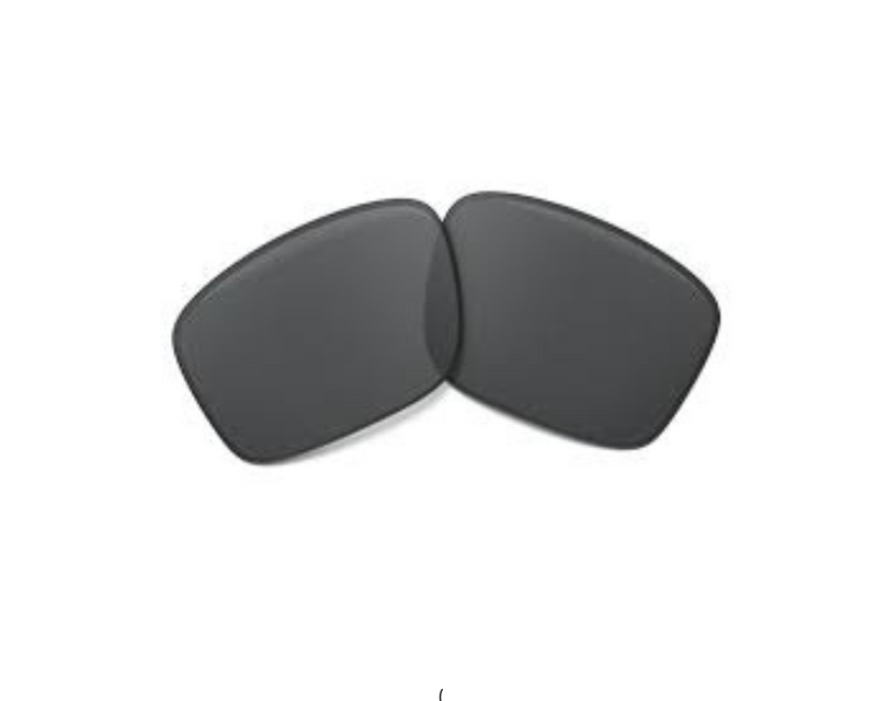 Bifocal Polarized Lenses In A Gray Tint