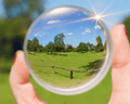 Single Vision Reading/Computer Lens Replacement In Clear