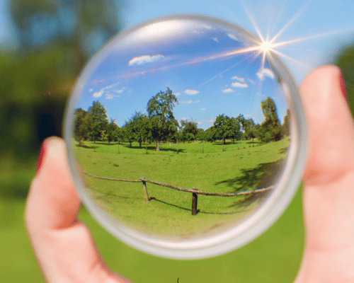 Single Vision Reading/Computer Lens Replacement In Clear