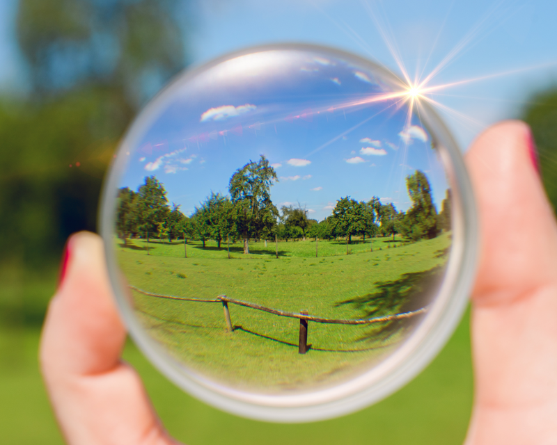 Single Vision Lens Replacement In Clear