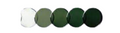 Bifocal Lens Replacement With Green Transitions Package