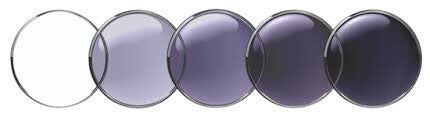 Single Vision Gray Transition Lens Replacement (100% UVA & UVB)
