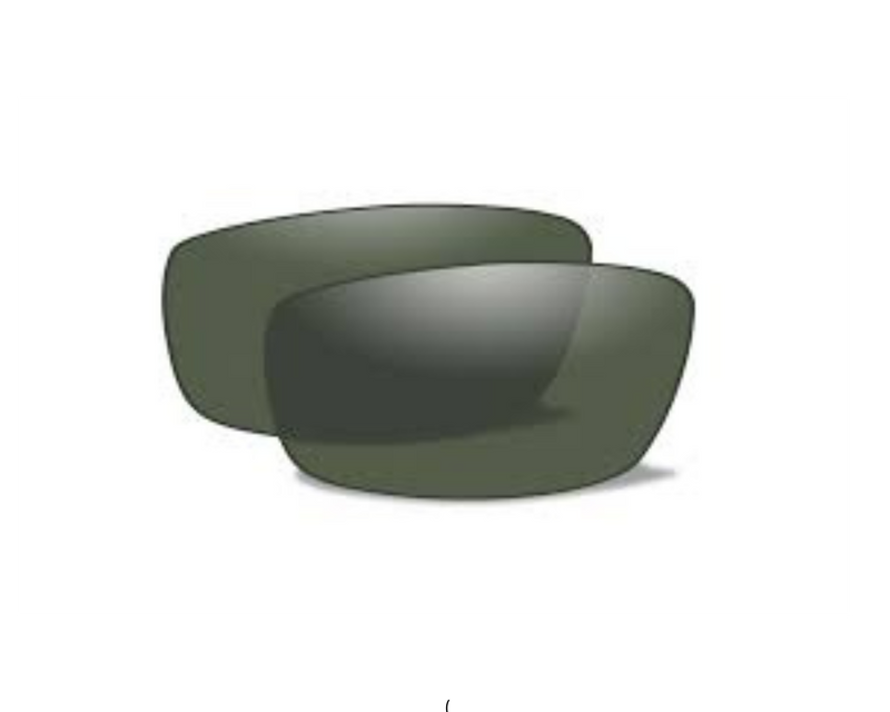 Bifocal Polarized Lenses In A Ray-ban-Style G-15 Green Tint