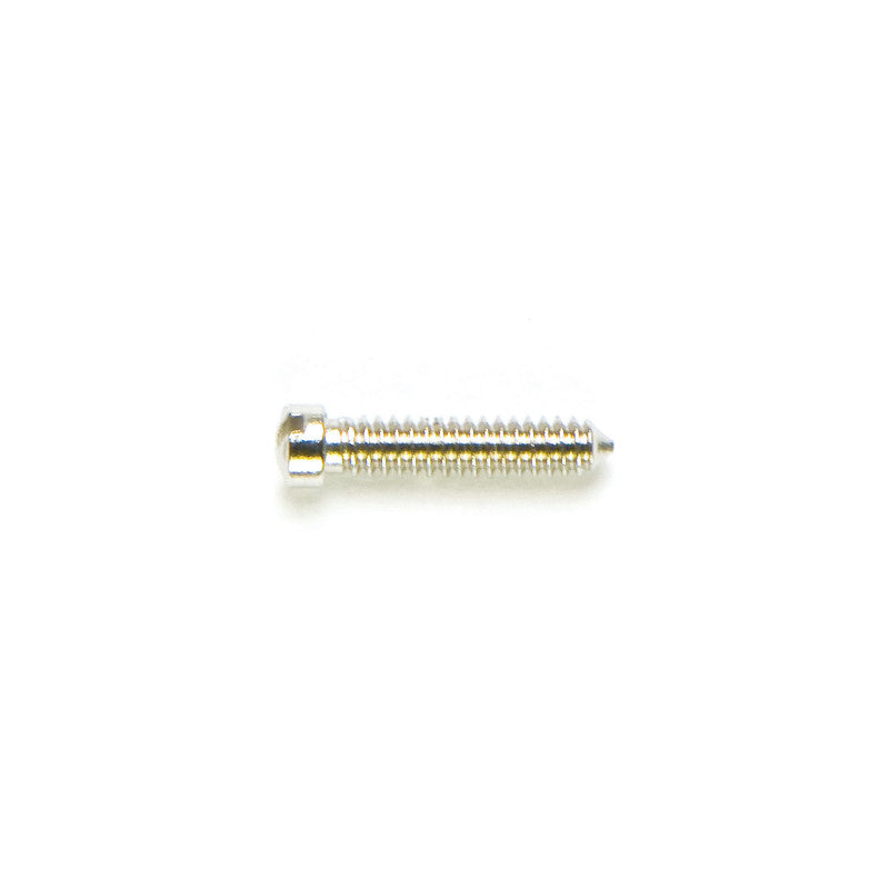 1.30 Mm Diameter - Special Screws For Repair