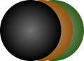 Non-Rx Non-Polarized Sunglasses